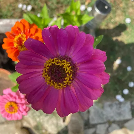 Country house Magnone Vacance - Le Petit Ruisseau *